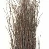 Richland Natural Birch Tree Branches 3-4ft (25 Branches)