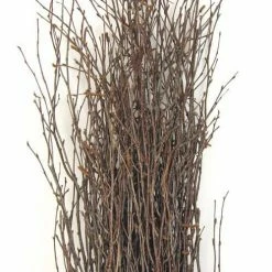 Richland Natural Birch Tree Branches 3-4ft (25 Branches)