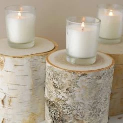 Richland Shop By Event Nature 5" Birch Pillar