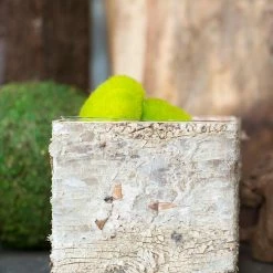 Richland Pots & Planters Birch Bark Square Pot With Liner 5in