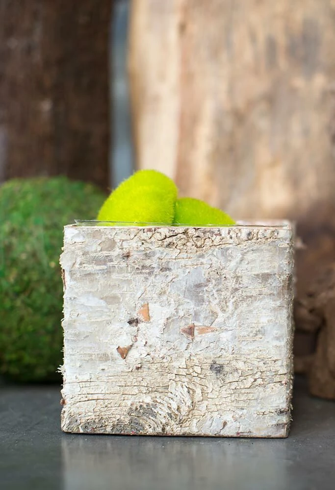 Richland Pots & Planters Birch Bark Square Pot With Liner 5in 1 Richland Pots & Planters Birch Bark Square Pot With Liner 5in