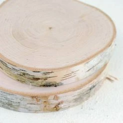 Richland Birch Slab 7-10in Tree Slice 1.25 Thick