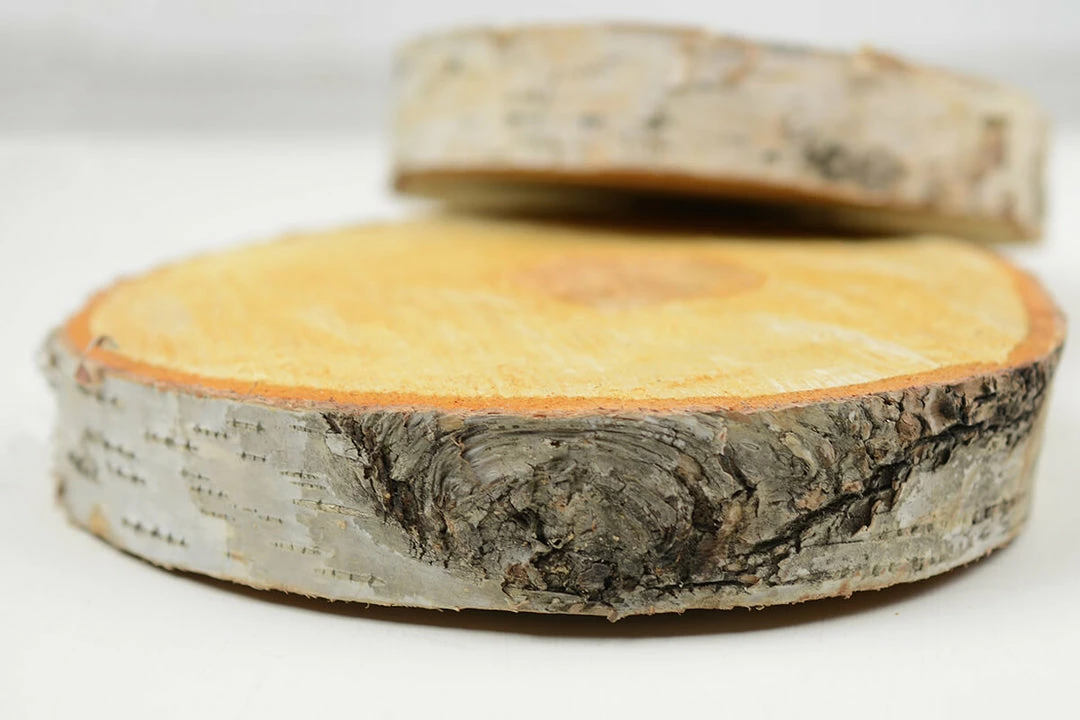 Richland Birch Slab Round 8" X 1" Thick Shop By Event 2 Richland Birch Slab Round 8" X 1" Thick Shop By Event