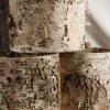 Richland Birch Bark Planter W/ Plastic Liner 7x6 Weddings