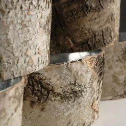 Richland Natural Birch Bark Zinc Pot Planter 6x3