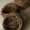 Richland Naturals & Florals 9 - 3 Inch Natural Twig Tiny Bird Nests, Bulk Buy