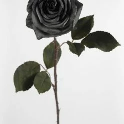 Richland Fall Black Silk Rose