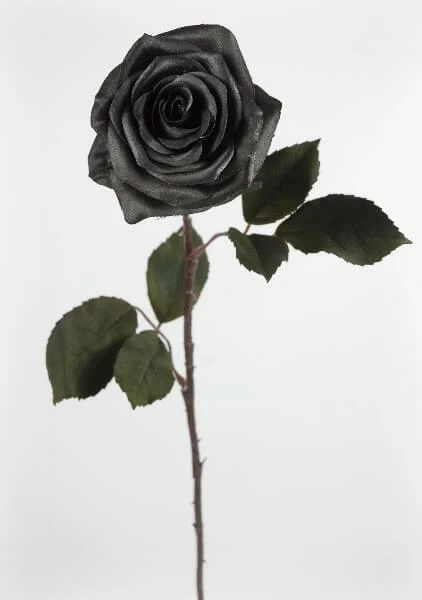 Richland Fall Black Silk Rose 1 Richland Fall Black Silk Rose