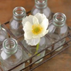 Richland Weddings Bottle Basket Caddy With 6 Glass Bottles