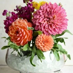 Richland Clear Glass 10" Lily Bowl