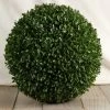 Richland Boxwood Balls 11 Inch Naturals & Florals
