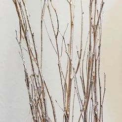 Richland 3 Gold Leaf Birch Branches Birch 5 Feet Fall