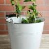 Richland White Enamel 11in Bucket With Handle
