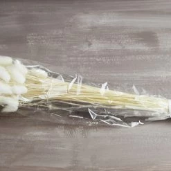 Richland Italian Bleached Bunny Tails Ornamental Grass Bundle Seasonal Parties