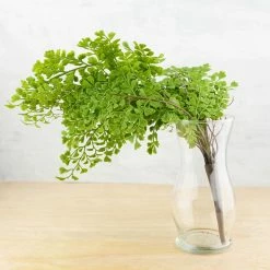 Richland Artificial Maidenhair Fern Bush 18"