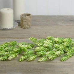 Richland Hops Garland 30" Christmas