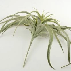 Richland Tillandsia Air Plants Artificial 13x16
