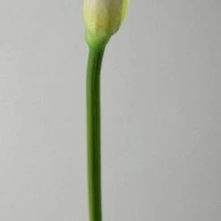 Richland Seasonal Parties Real Touch Calla Lily In White 27"