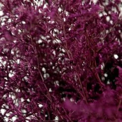 Richland Preserved Dyed Caspia 8 Oz.Merlot