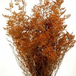 Richland Orange Caspia Bundle 8oz Bunch 22in