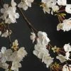 Richland Seasonal Parties Cherry Blossom Branch 42in White Flowers