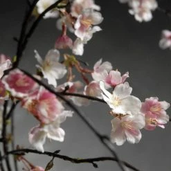 Richland Hanging Silk Cherry Blossom Branch Pink Silk Artificial 58"