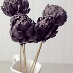 Richland Dried Chico Choke Pod Stems Dark Purple Set Of 5