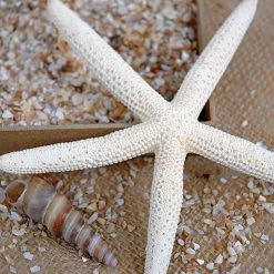 Richland Crushed Shells Fine 1.75 Lbs