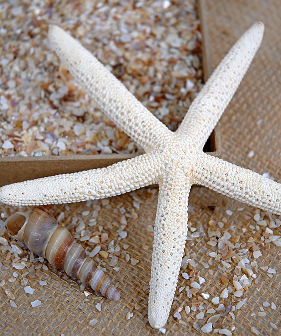 Richland Crushed Shells Fine 1.75 Lbs 2 Richland Crushed Shells Fine 1.75 Lbs