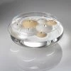 Richland Eastland Floating Candle Dish Garden 10"