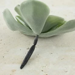 Richland Echeveria Pick Frosted Green 7x4.5in Christmas