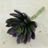 Richland Flowers Echeveria Pick Purple 8.5in