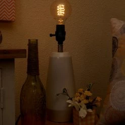 Richland G25 Edison Light Bulb Globe 40W Shop By Event