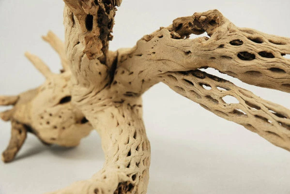 Richland Botanicals Cholla Wood Branch, 12in 2 Richland Botanicals Cholla Wood Branch, 12in