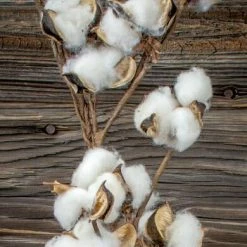 Richland 6' Faux Cotton Boll Garland