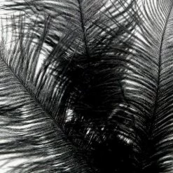 Richland 3 Black 28" Ostrich Feathers On Wires Shop By Event