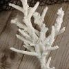 Richland 13" Finger Coral