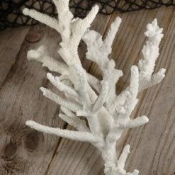 Richland 13" Finger Coral