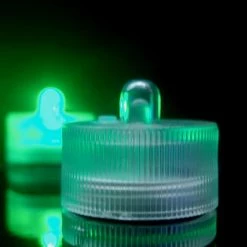 Richland 10 Green Floralytes I Submersibe LED Light Christmas