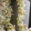 Richland Orchid Flower Leis (12 Pack) Seasonal Parties