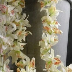 Richland Orchid Flower Leis (12 Pack) Seasonal Parties