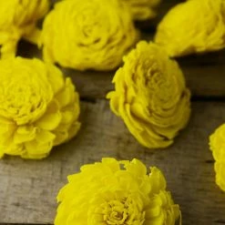 Richland Sola Flowers Yellow Chorki Flowers (12 Flowers) Thanksgiving