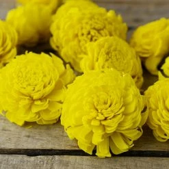 Richland Sola Flowers Yellow Chorki Flowers (12 Flowers) Thanksgiving