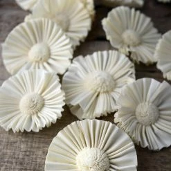 Richland Fall 12 Sola Flowers Moon Flowers