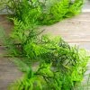 Richland Asparagus Fern Garland Artificial 6ft