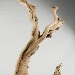 Richland Natural Ghostwood Branch Sandblasted 10-14 In (California Driftwood) Botanicals 3 Richland Natural Ghostwood Branch Sandblasted 10-14 In (California Driftwood) Botanicals