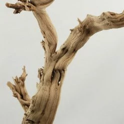 Richland Natural Ghostwood Branch Sandblasted 10-14 In (California Driftwood) Botanicals