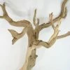 Richland Natural Ghostwood Branch 16in-22in Sanded Seasonal Parties