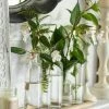 Richland Shop By Event 5 Glass Bottle Vases W/Tray