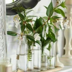 Richland Shop By Event 5 Glass Bottle Vases W/Tray